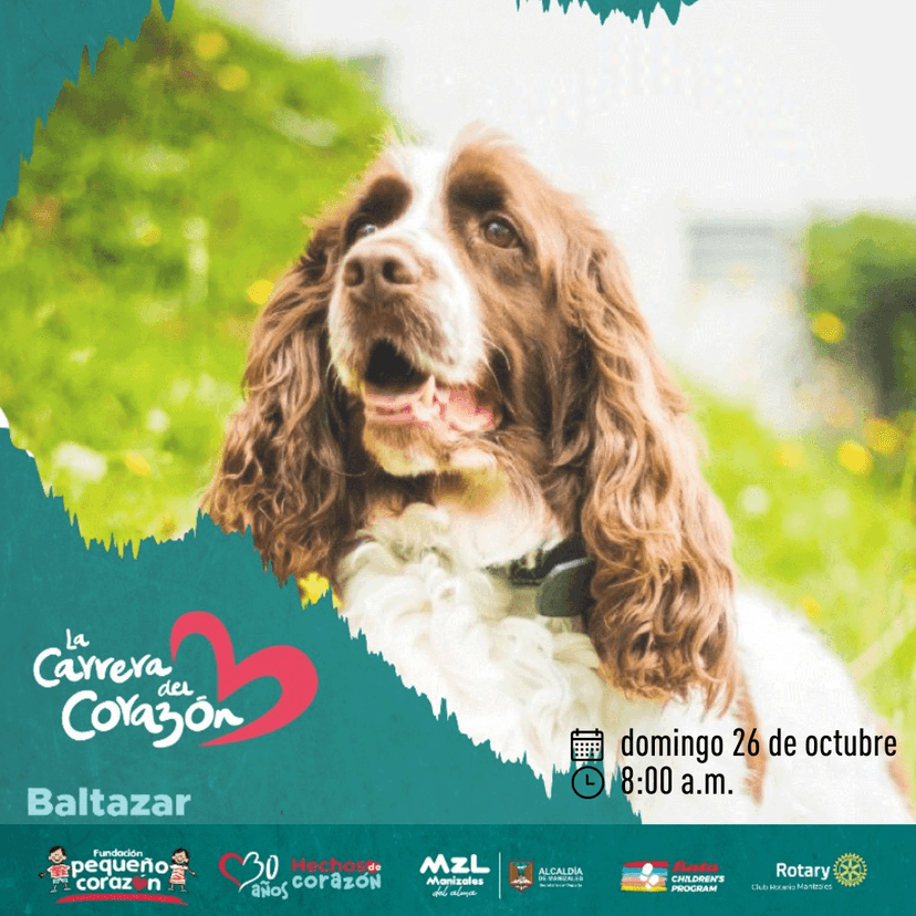 Carrera del Corazón