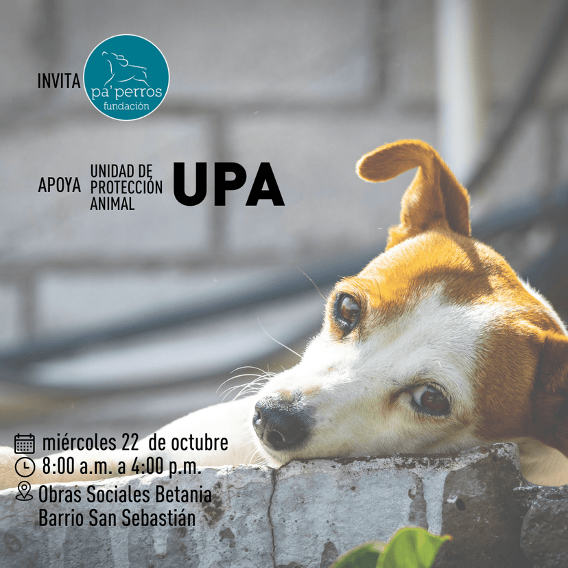 Jornada de Esterilización - San Sebastián